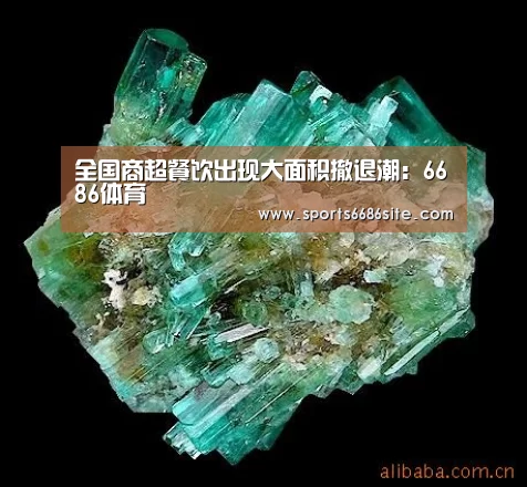 全国商超餐饮出现大面积撤退潮:6686体育(图1) 6686体育直播