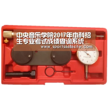 中央音乐学院2017年本科招生专业考试成绩查询系统 入口：http://zhao