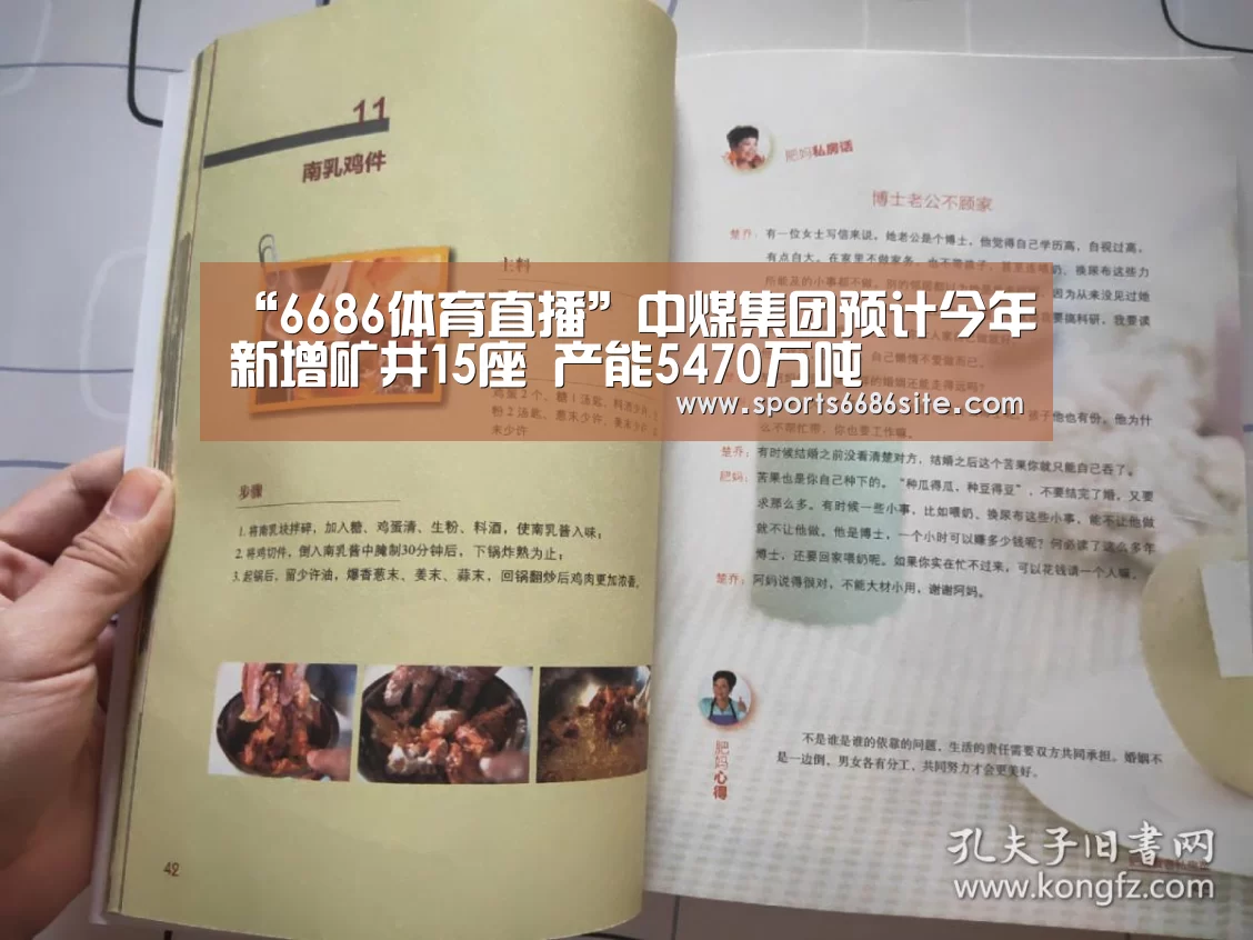 “6686体育直播”中煤集团预计今年新增矿井15座 产能5470万吨(图2) 6686体育下载