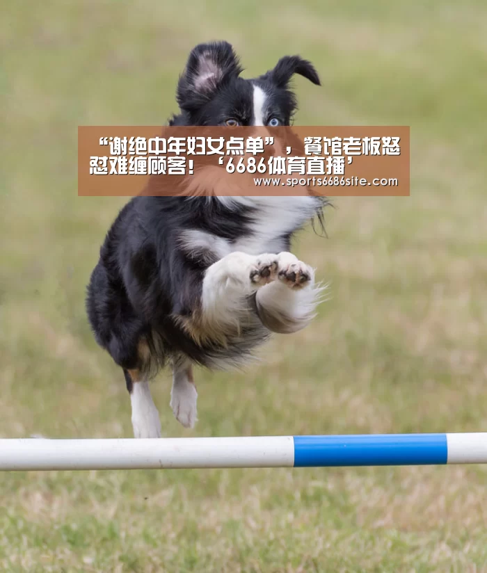 6686体育官网