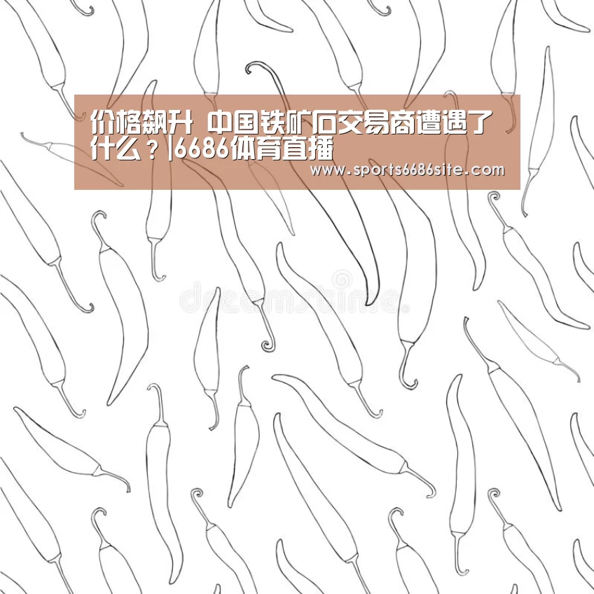 价格飙升 中国铁矿石交易商遭遇了什么？|6686体育直播