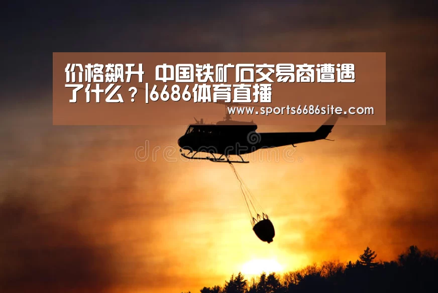 价格飙升 中国铁矿石交易商遭遇了什么?|6686体育直播(图2) 6686体育直播