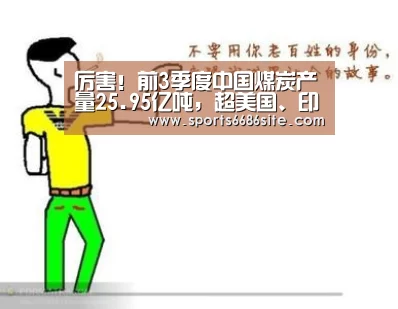 6686体育官网
